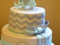 Baby028
