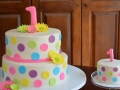 Polka Dot 1st Birthday