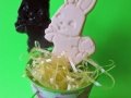Chocolate Bunny Pops (960x1280)