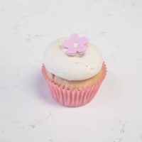 Cherry Blossom Cupcakes