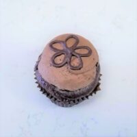 Triple Dark Chocolate Cupcakes