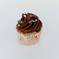 Confetti Chocolate Cupcakes