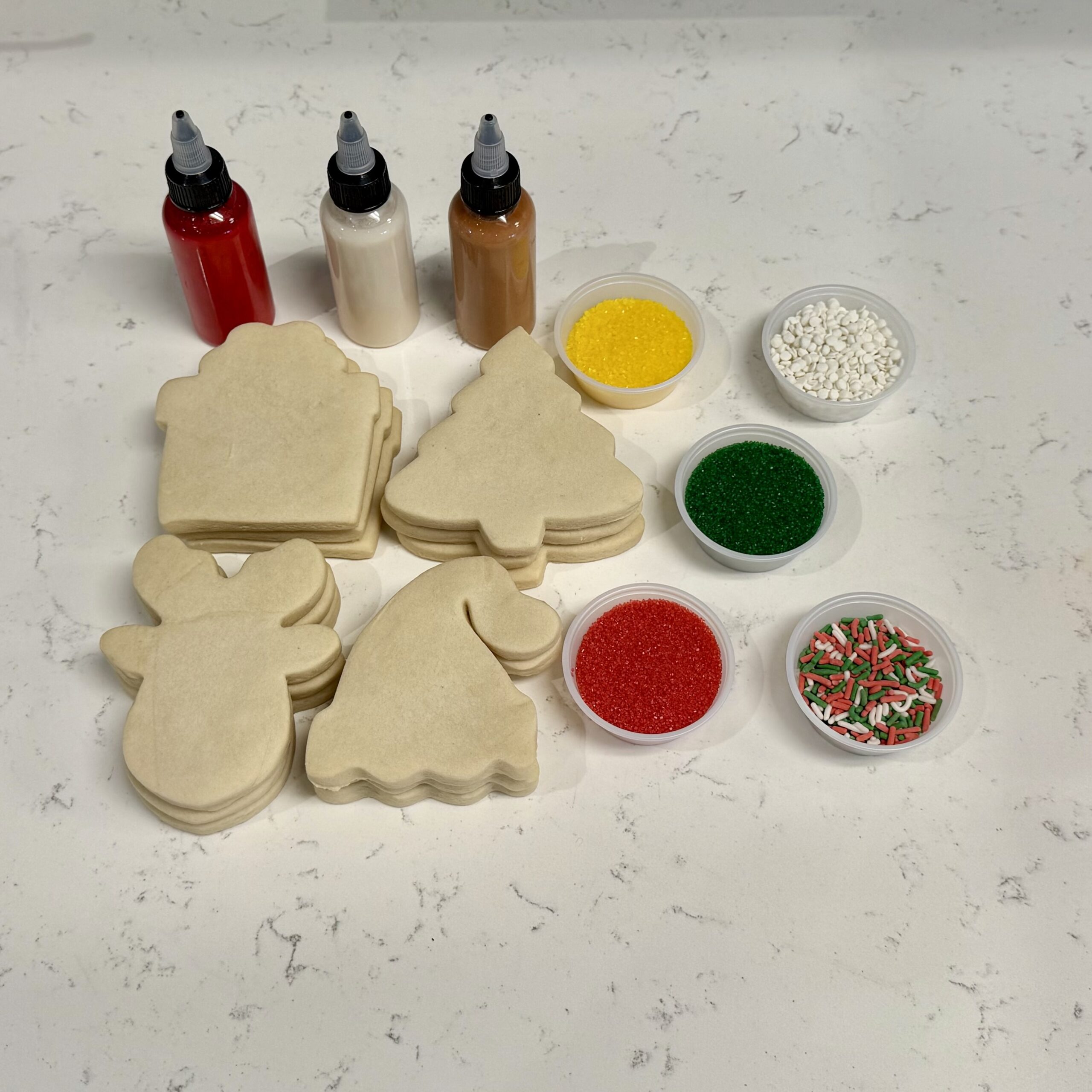 Christmas Cookie Decorating Kit